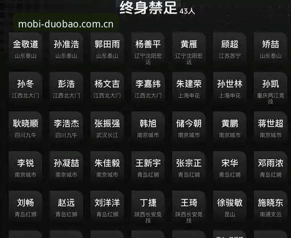 多宝体育注册安装教程 足协第三批禁足名单深度解读:终身禁赛vs五年禁赛,中国足球反腐的两种结局
